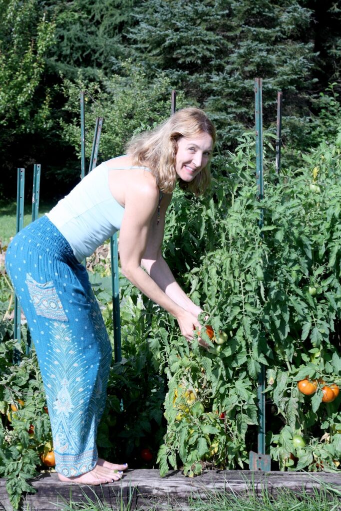 Ghid pentru cultivarea alimentelor fara a degrada mediul inconjurator