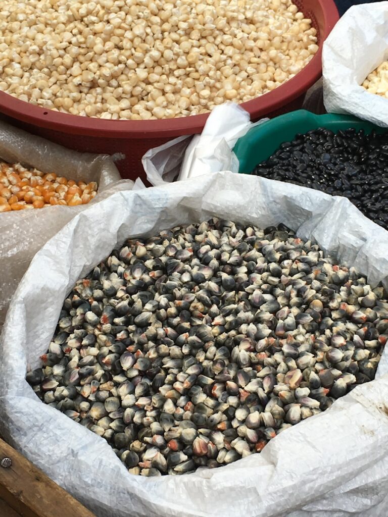 Ghid pentru alegerea semintelor organice si a soiurilor traditionale