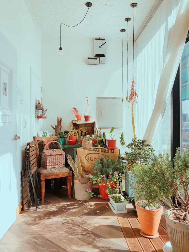 Cum sa transformi micul tau spatiu intr-un model de zero waste urban