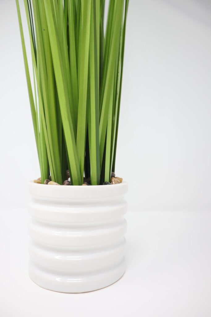 Ghid pentru consumatori: cum sa alegi produse dezvoltate cu inovatii verzi