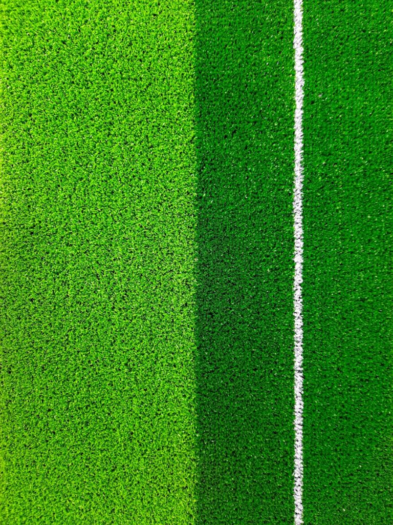 Cum sa intelegi diferenta dintre inovatie verde si greenwashing