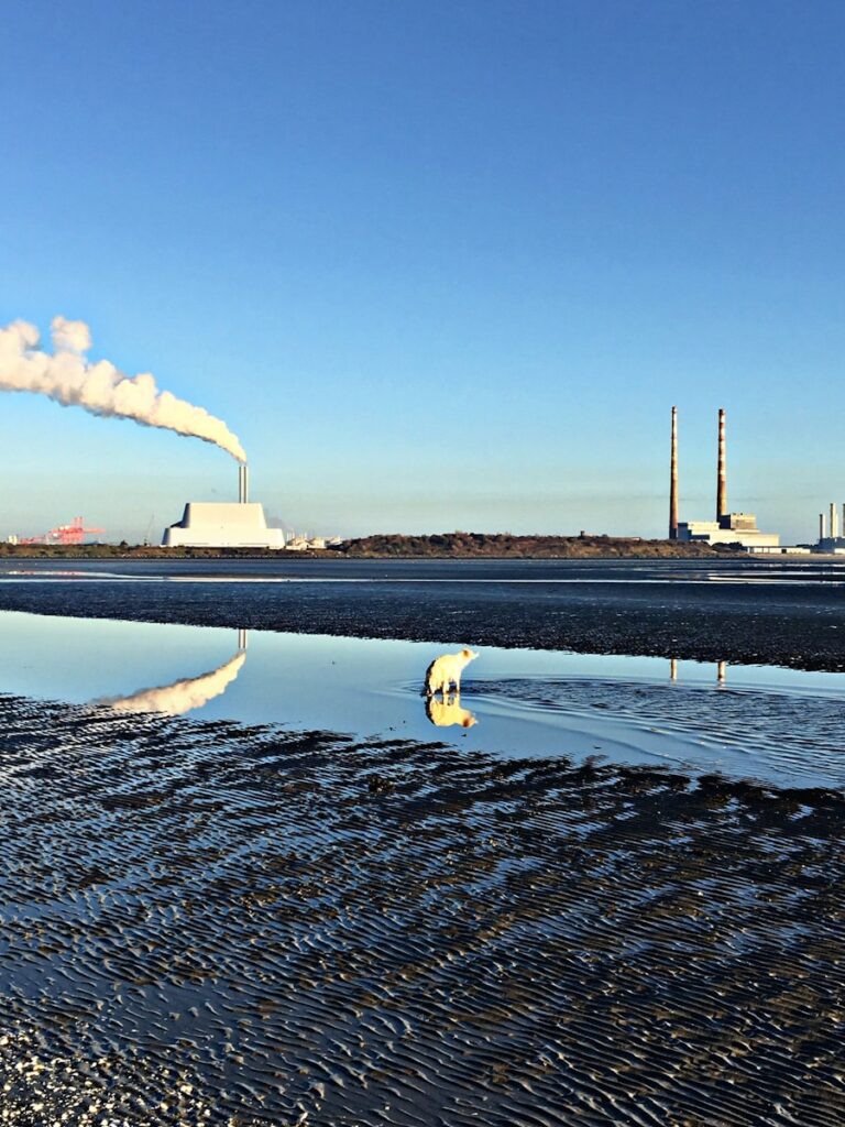 Ce inseamna zero-emisii in productia industriala si cum poate fi atins