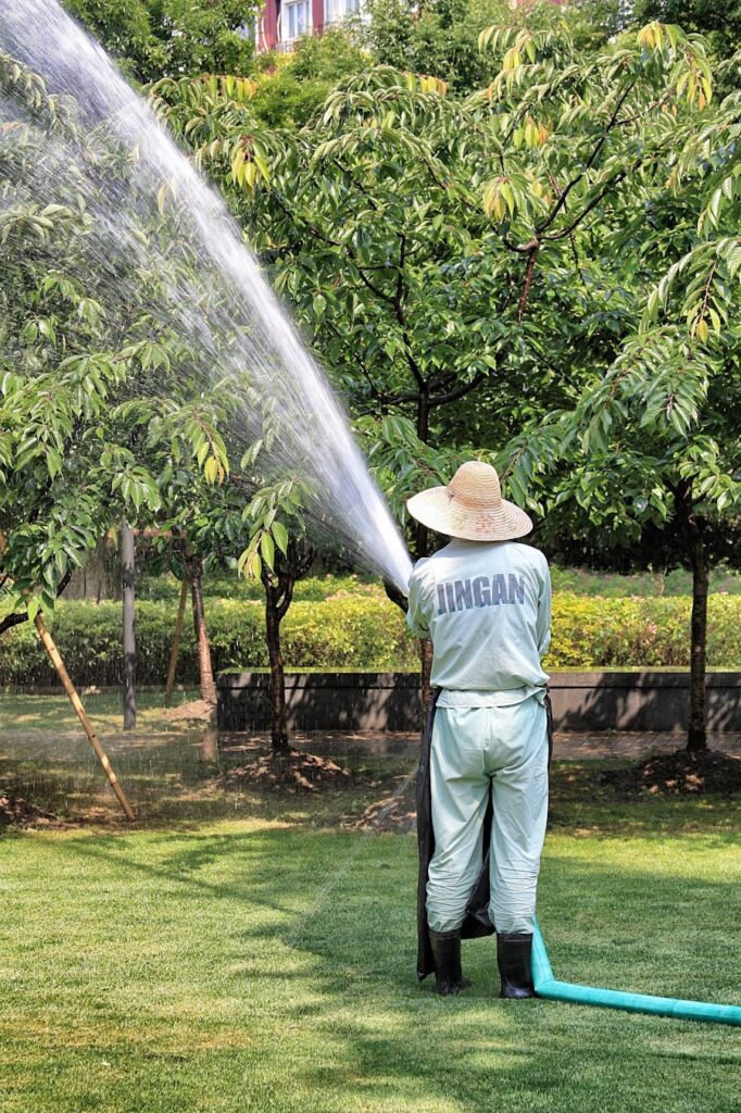 Cum sa eviti suprairigarea si sa gestionezi eficient apa in perioade secetoase