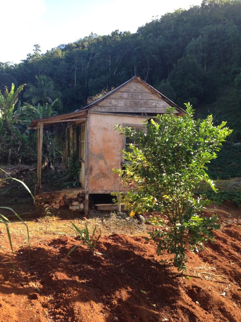 Cum sa incepi o cooperativa agricola sustenabila cu vecinii tai