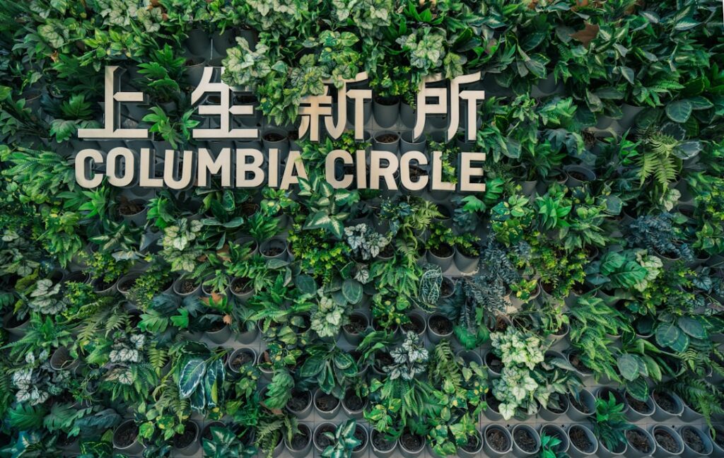 Totul despre economia circulară: transformarea deșeurilor în resurse