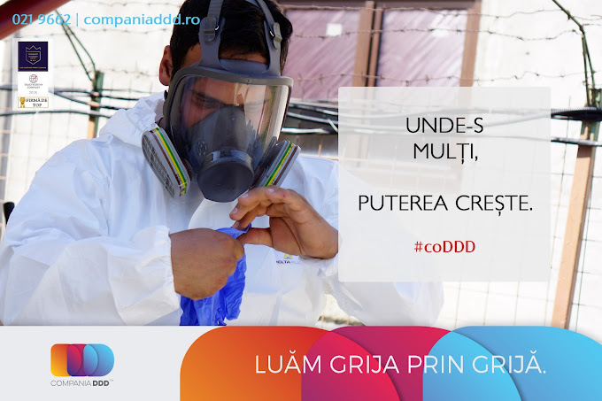 Dezinsecție în spațiile comune: soluții pentru un mediu sigur