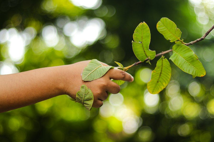 sustainable lifestyle