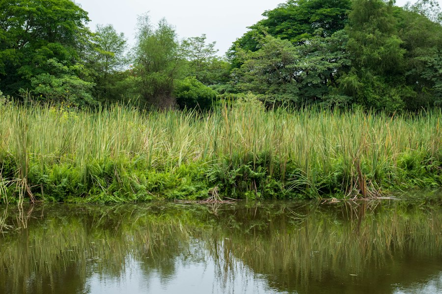 Photo freshwater resources