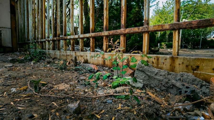 Photo ecological construction