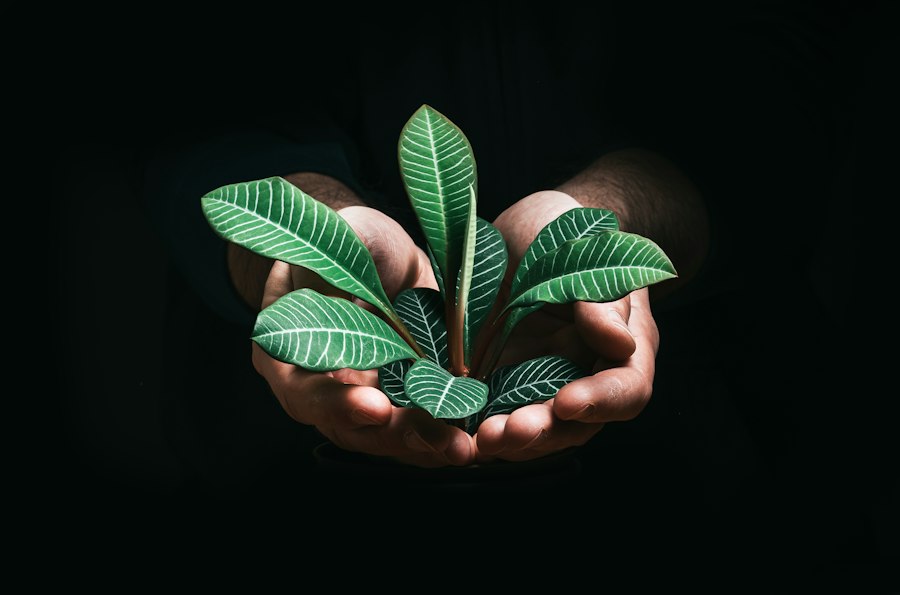 Photo sustainable lifestyle