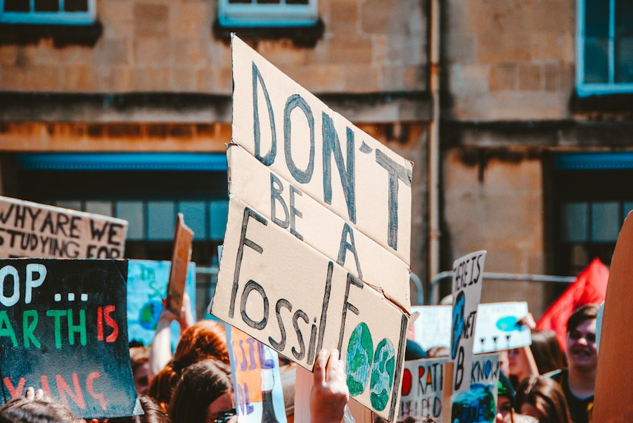 ecological imbalance