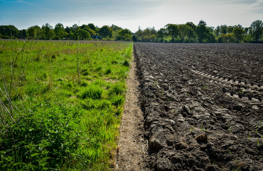 Photo soil quality