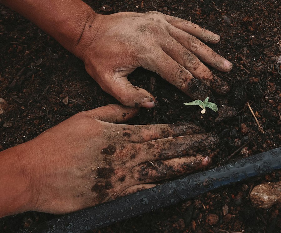 soil quality