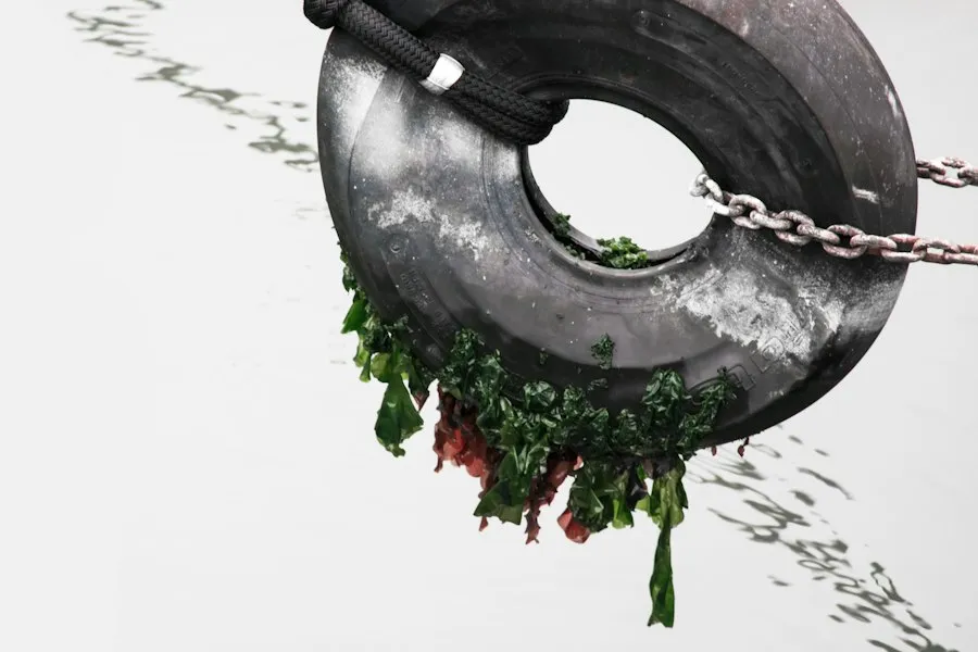 Photo circular economy infographic