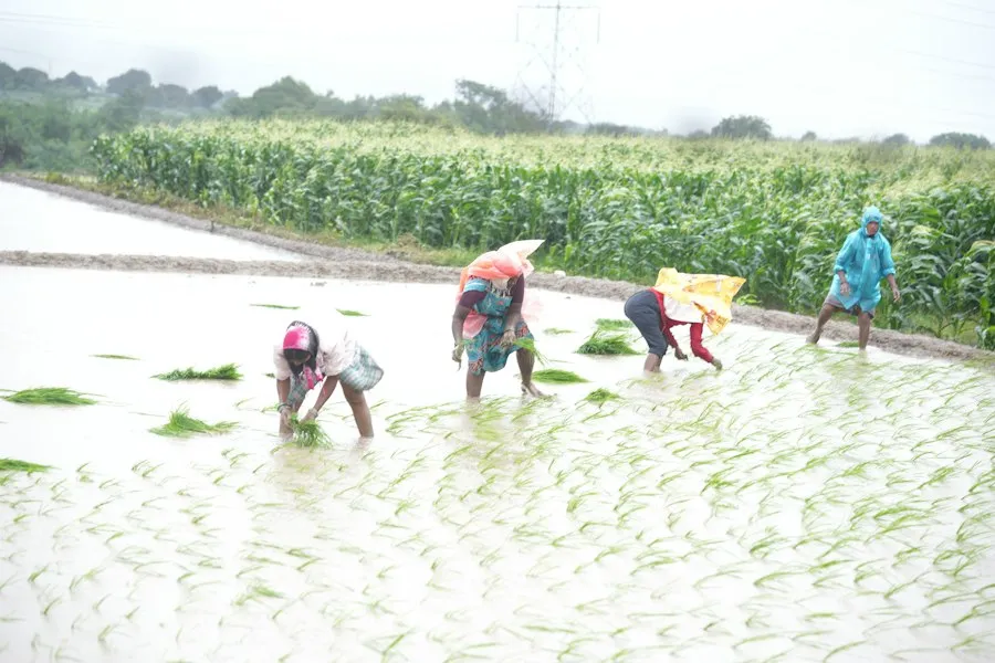 Photo sustainable agriculture practices