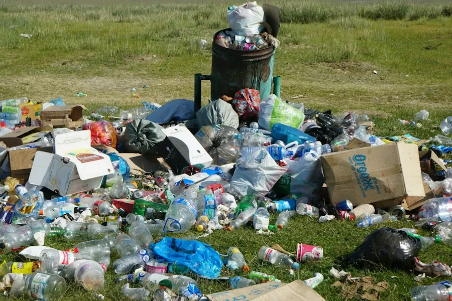 Photo waste reduction tips