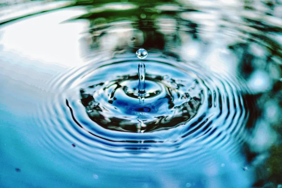 Photo water conservation tips