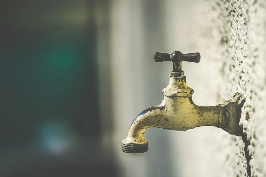 water conservation tips