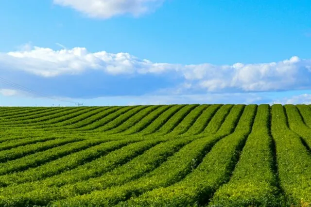 Photo common sustainable agriculture mistakes