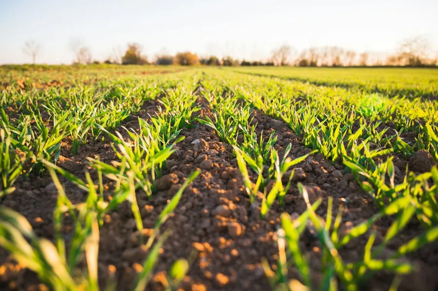 Photo common sustainable agriculture mistakes